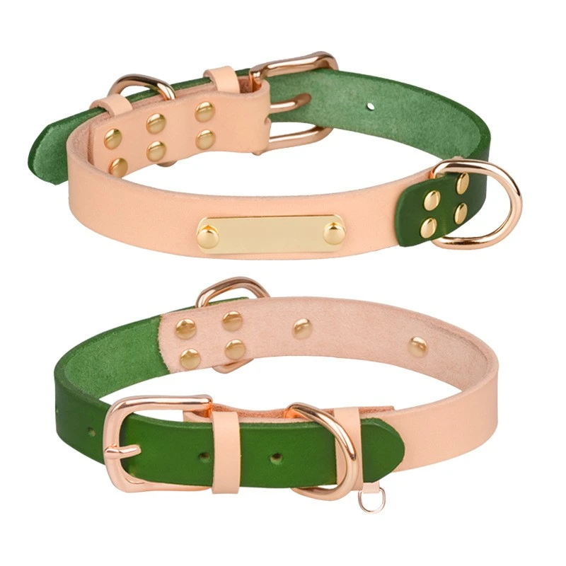 Personalized Leather Dog Collars best
